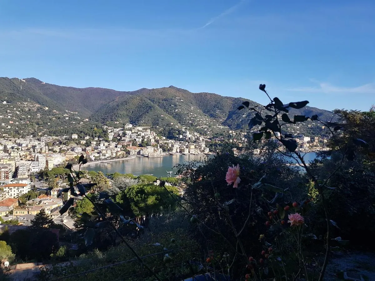 Sunrise Villa Rapallo 0*,